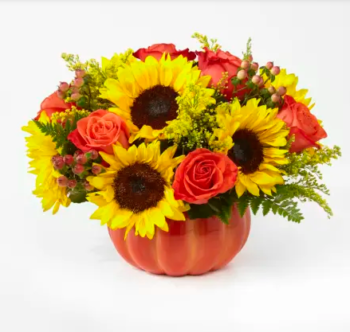 Large Harvest Traditions Pumpkin Bouquet Paradise Flowers Delivery Same Day Roses Birthday Anniversary Fort Lauderdale Dania Hollywood Broward Palm Beach pumpkin flower
