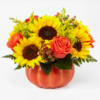 Medium Harvest Traditions Pumpkin Bouquet Paradise Flowers Delivery Same Day Roses Birthday Anniversary Fort Lauderdale Dania Hollywood Broward Palm Beach pumpkin flower