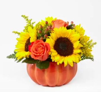Small Harvest Traditions Pumpkin Bouquet Paradise Flowers Delivery Same Day Roses Birthday Anniversary Fort Lauderdale Dania Hollywood Broward Palm Beach pumpkin flower