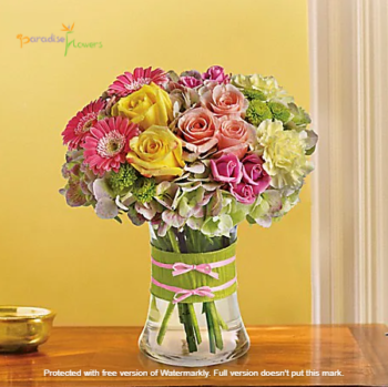 Fashionista Blooms