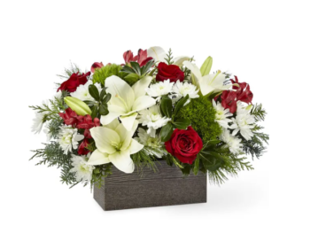 Wooden Christmas BQT