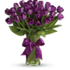 Passionate Purple Tulips