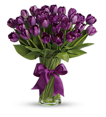 Passionate Purple Tulips