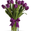Passionate Purple Tulips