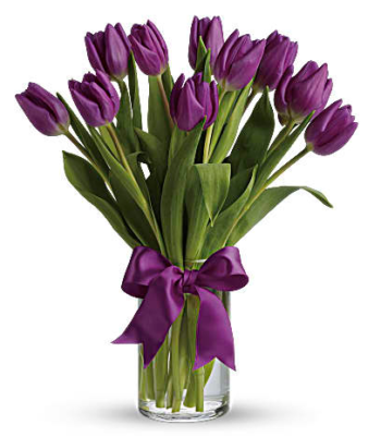 Passionate Purple Tulips